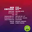 Red Critical Auto características -BSF Seeds