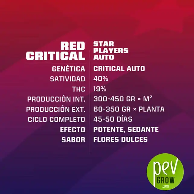 Red Critical Auto caractéristiques -BSF Seeds