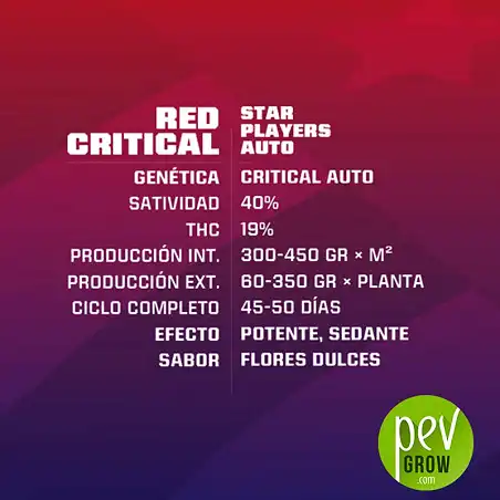 Red Critical Auto characteristics -BSF Seeds