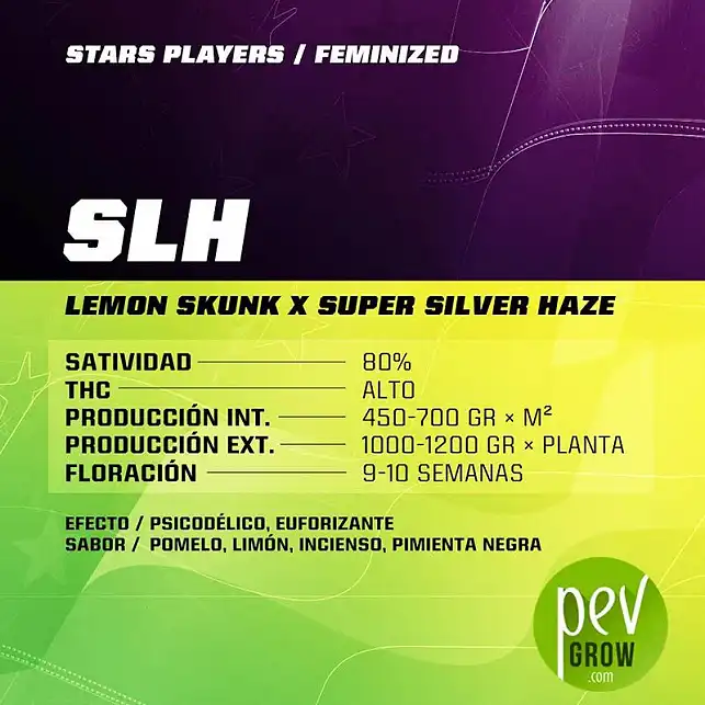 SLH characteristics - SBF Seeds - BSF Seeds