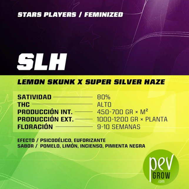 SLH - SBF Seeds - BSF Seeds