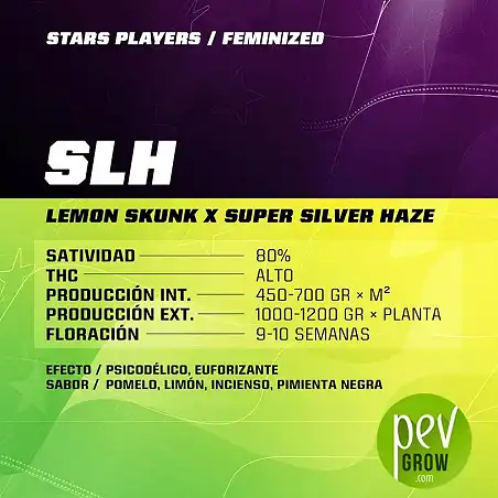 SLH characteristics - SBF Seeds - BSF Seeds