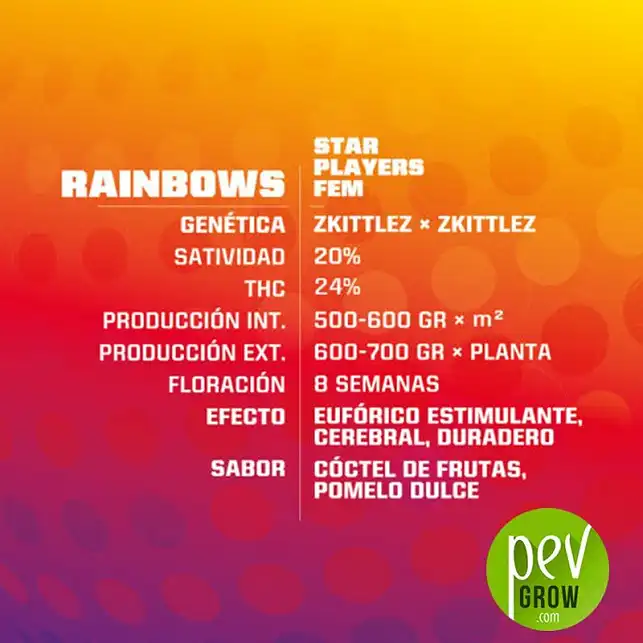 Rainbows características - BSF Seeds