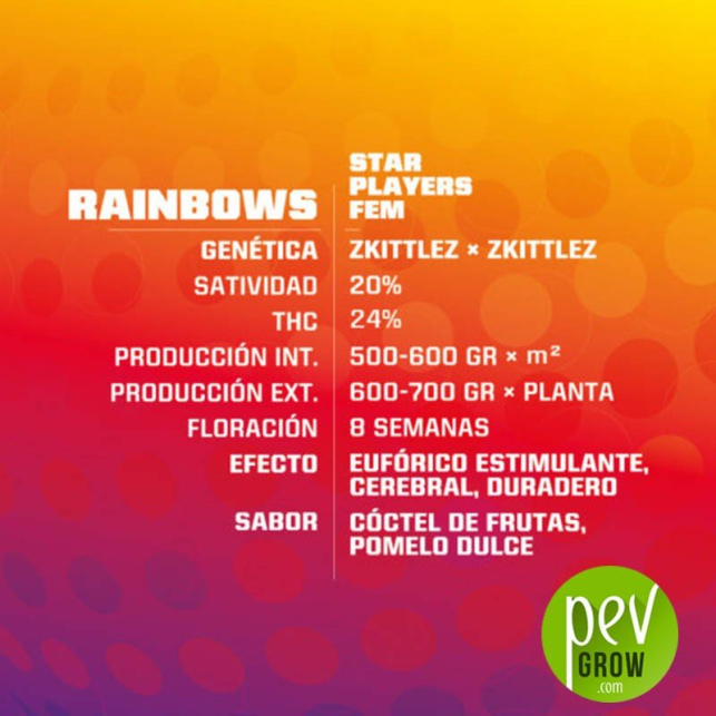 Rainbows - BSF Seeds