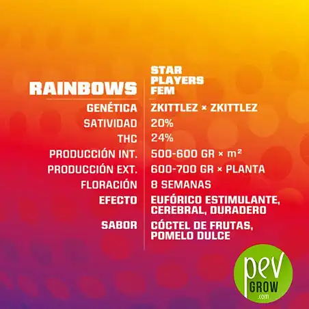Rainbows características - BSF Seeds