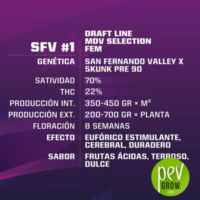 SFV 1 - BSF Seeds