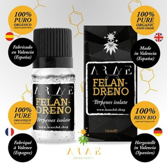 Alfa Felandreno ARAE