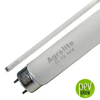 Fluorescent T8 Straight Agrolite Grow