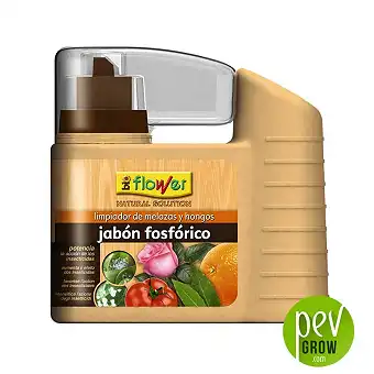 Phosphoric Soap Flower