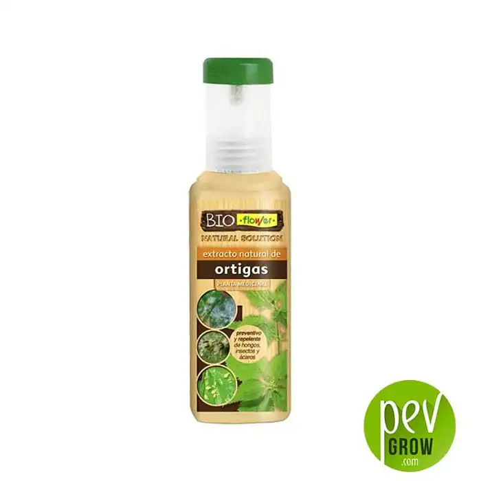 Nettle Extract Flower