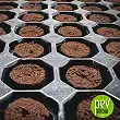 104 Plug Seedling tray