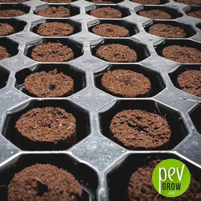 104 Plug Seedling tray