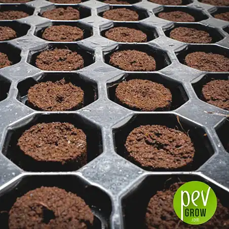 104 Plug Seedling tray