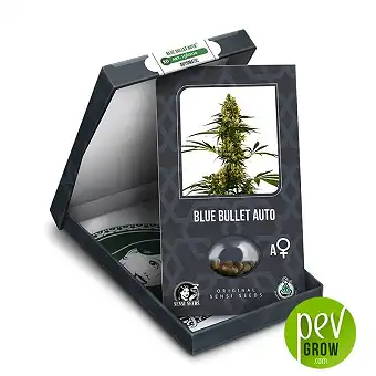 Blue Bullet Auto - Sensi Seeds