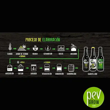 Cannabeer Imperial Elaboración