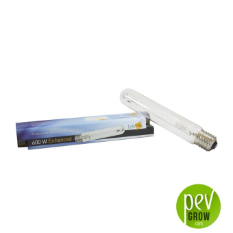 Ampoule Gavita Pro