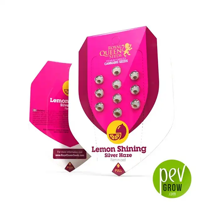 Lemon Shining Silver Haze Packaging - Royal Queen Seeds