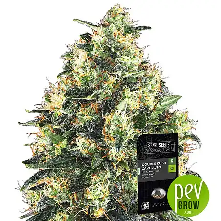 Double Kush Cake Auto - Sensi Seeds
