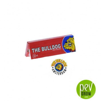 Papier Red Short The Bulldog