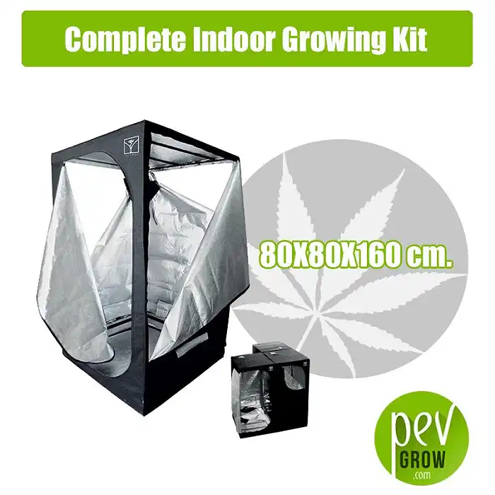 Interior cultivation kit complete with 80x80x160 cabinet