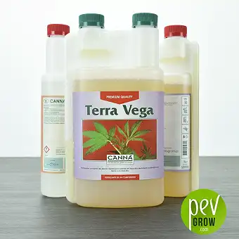 Terra Vega - 1L