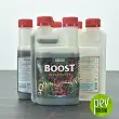 Boost Accelerator Canna - 250 ml.
