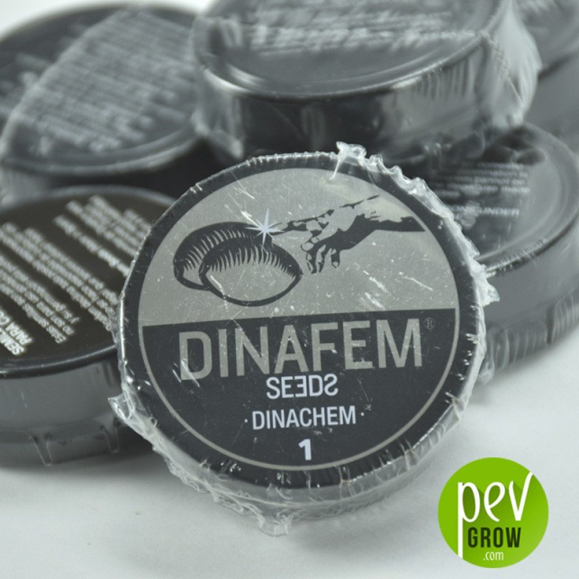 Dinachem 2 - Dinafem Seeds