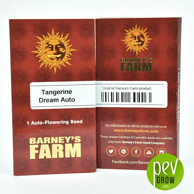 Tangerine Dream Auto - Barney's Farm