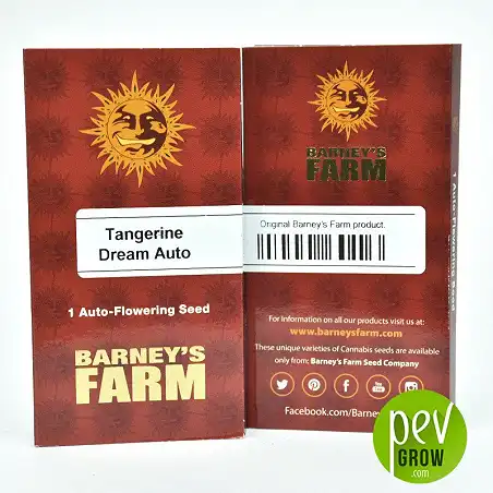 Tangerine Dream Auto - Barney's Farm