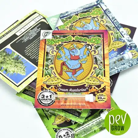 Cream Mandarine Fast Version - Sweet Seeds