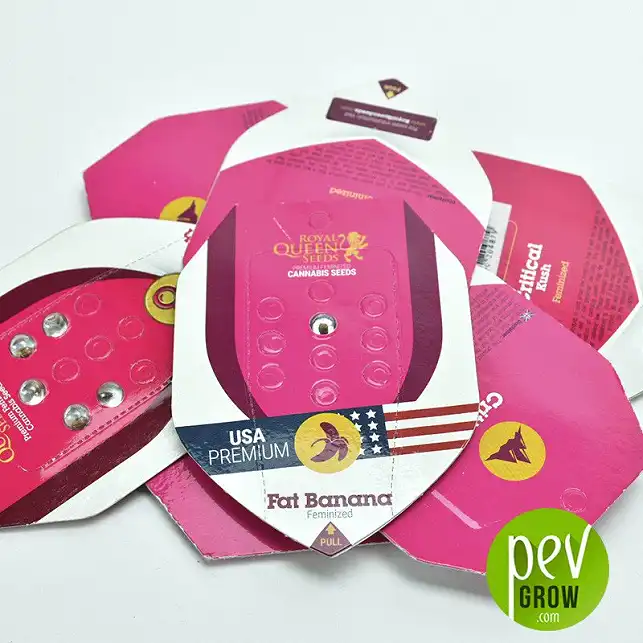 Fat Banana - Royal Queen Seeds