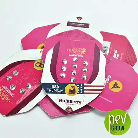 Hulkberry Royal Queen Seeds