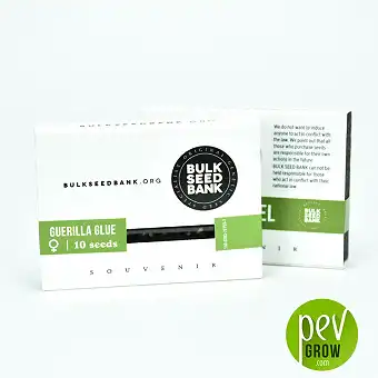 Guerilla Glue Bulk Seed Bank