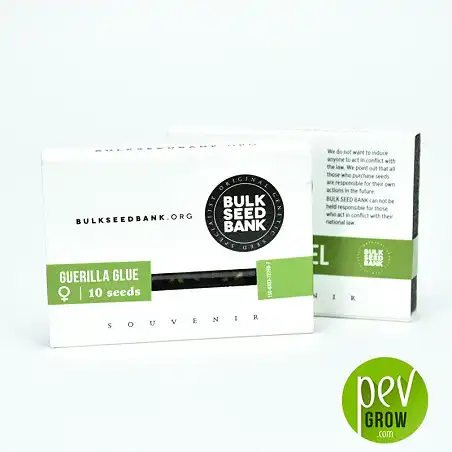 Guerilla Glue - Bulk Seed Bank 2