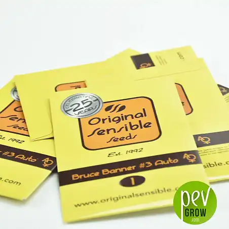 Bruce Banner 3 Auto package - Original Sensible Seeds