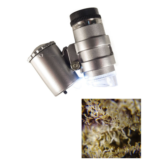 Microscopio Mini LED 45X Neptune Hydroponico 2