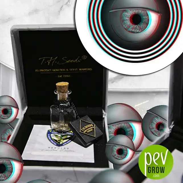 MK-Ultra Cake - TH Seeds