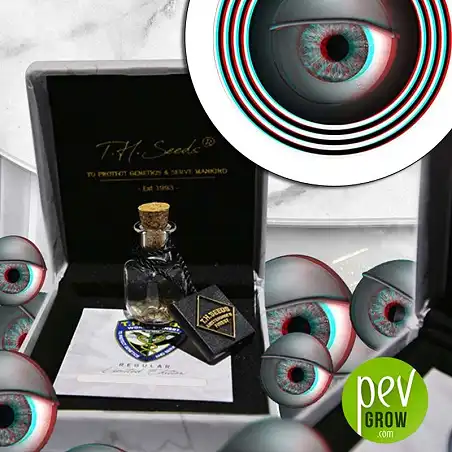 MK-Ultra Cake - TH Seeds