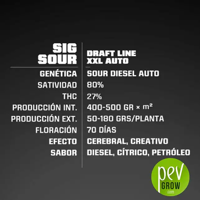 Sig Sour XXL Auto features - BSF Seeds