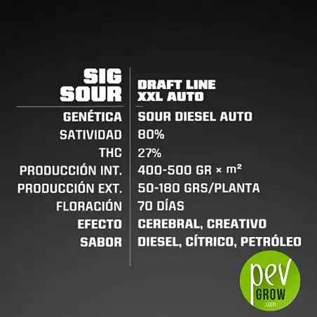 Sig Sour XXL Auto caractéristiques - BSF Seeds