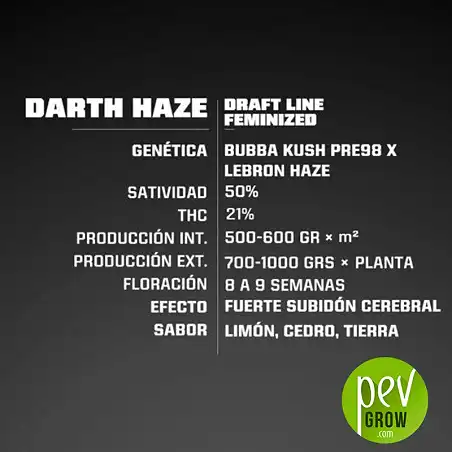 Dart Haze características - BSF Seeds