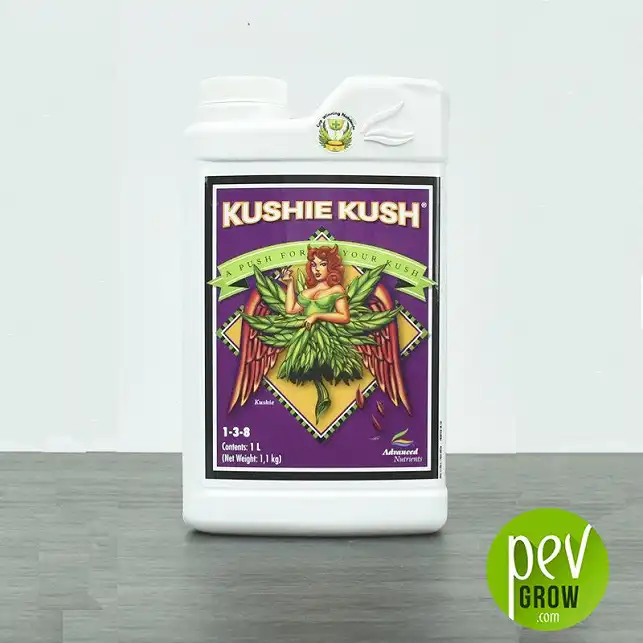 Kushie Kush 2