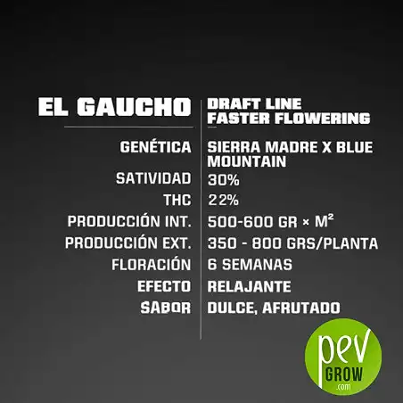 El Gaucho Fast Flowering - BSF Seeds