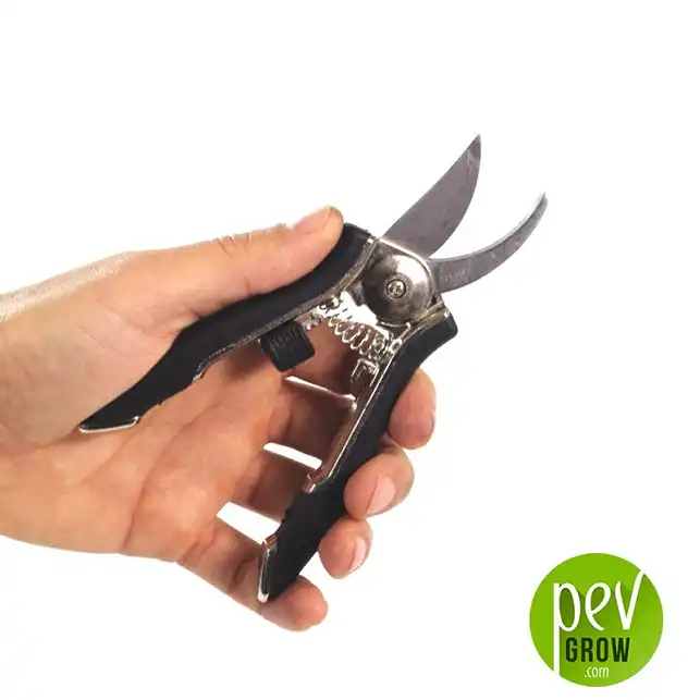 Samurai Warrior Pruning Shears size