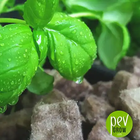 Substrat de laine de roche RCX-1™ - Agra Wool