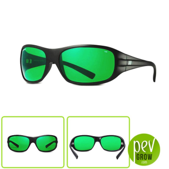 LED Operator Glasses