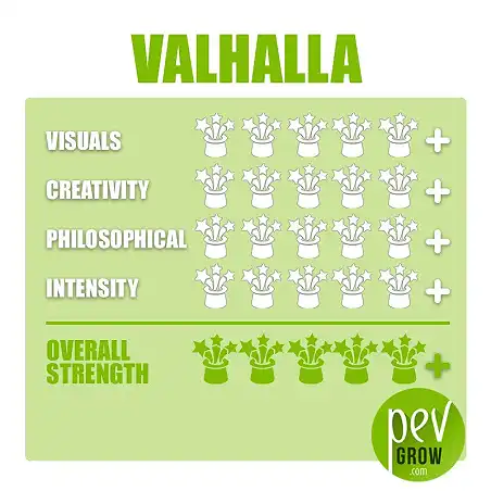 Zaubertrüffel Valhalla