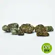 Magic truffles Cattaleya