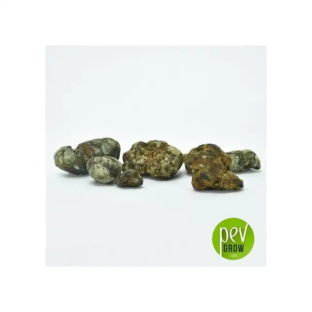 Magic truffles Cattaleya