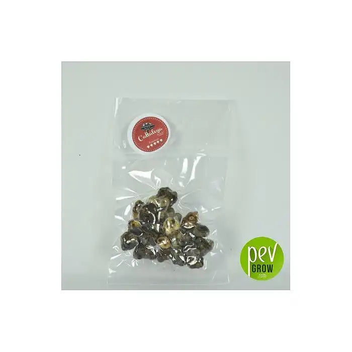 Trufas mágicas Cattaleya envase